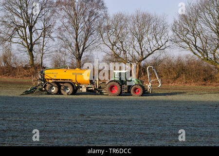 Agricoltore spargimento di concime liquido in primavera, in Germania, in Renania settentrionale-Vestfalia Foto Stock