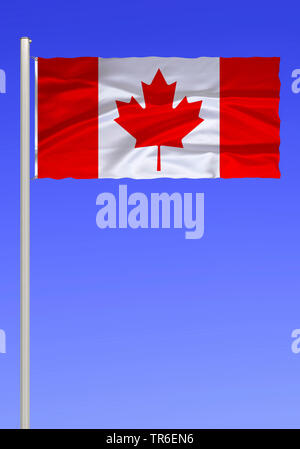 Bandiera del Canada contro il cielo blu, Canada Foto Stock