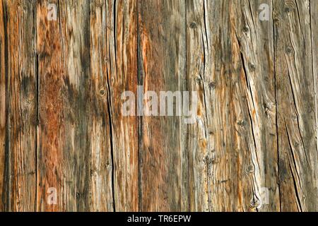 Pareti in legno di stile vallesana house, Svizzera Vallese Foto Stock