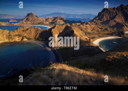 Isola di Padar, Indonesia, Parco Nazionale di Komodo, Isola Padar Foto Stock