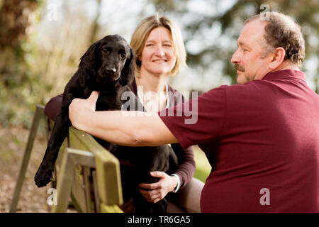 Appartamento rivestite Retriever (Canis lupus f. familiaris), Giovane con cane seduto su una panchina nella foresta, Germania Foto Stock