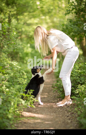 Pastore australiano (Canis lupus f. familiaris), cucciolo dando una giovane donna la zampa su un sentiero di bosco, Germania Foto Stock