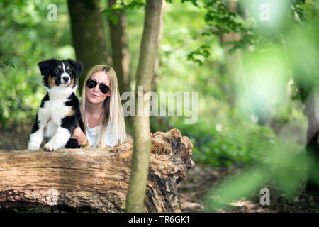 Pastore australiano (Canis lupus f. familiaris), cucciolo con una giovane donna a morto un tronco di albero in una foresta, Germania Foto Stock