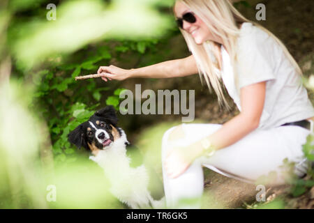 Pastore australiano (Canis lupus f. familiaris), cucciolo con una giovane donna su un sentiero di bosco, Germania Foto Stock