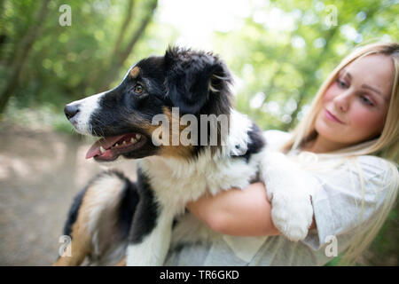 Pastore australiano (Canis lupus f. familiaris), giovane donna bionda tenendo un cucciolo sul braccio, Germania Foto Stock