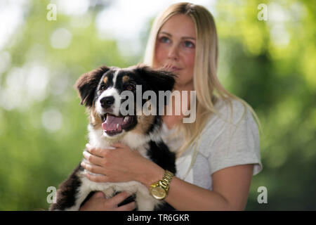 Pastore australiano (Canis lupus f. familiaris), giovane donna bionda tenendo un cucciolo sul braccio, Germania Foto Stock