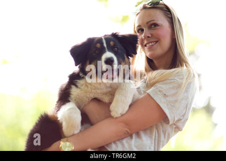 Pastore australiano (Canis lupus f. familiaris), giovane donna bionda tenendo un cucciolo sul braccio, Germania Foto Stock