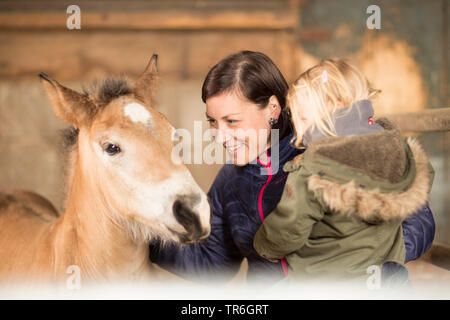 Cavalli domestici (Equus przewalskii f. caballus), madre di una bambina su braccio visitando un puledro in una stalla, Germania Foto Stock