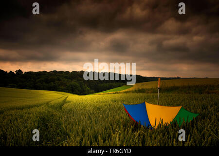 Ombrello coloratissimo in un campo di grano quando una tempesta è in arrivo, in Germania, in Renania settentrionale-Vestfalia, Mettmann Foto Stock