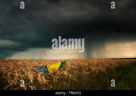 Ombrello coloratissimo in un campo di grano quando una tempesta è in arrivo, in Germania, in Renania settentrionale-Vestfalia, Mettmann Foto Stock