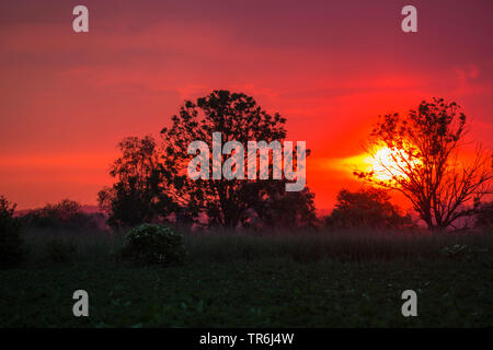 Tramonto a Erdinger Moos, in Germania, in Baviera, Erdinger Moos, Eitting Foto Stock