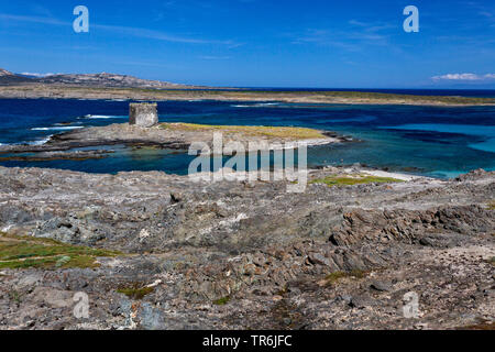 Capo Falcone, Stintino, Italia, Sardegna, Alghero, Stintino Foto Stock