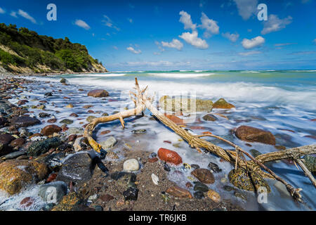 Albero morto lavaggi fino in onde di frenatura sul Mar Baltico con blocchi irregolari, Germania, Meclemburgo-Pomerania, Darsser Weststrand Foto Stock