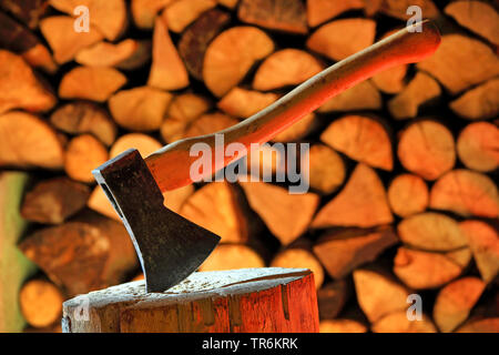 Ax su un blocco di trinciatura, Germania Foto Stock
