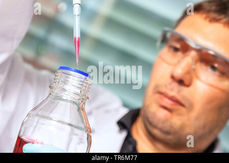 Laboratorio chimico assistente presso il lavoro, il riempimento di un fluido blu in un tubo Eppendorf, Germania Foto Stock