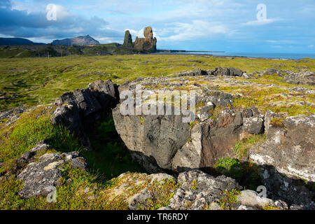 Rocce basaltiche che Londrangar a Malarrif, Islanda, Snaefellsnes Foto Stock