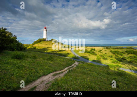 Faro Hiddensee in atmosfera serale, Germania, Meclemburgo-Pomerania, Hiddensee Foto Stock