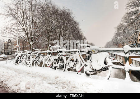 Paesaggio di coperta di neve di Amsterdam, Paesi Bassi, Noord-Holland, Amsterdam Foto Stock