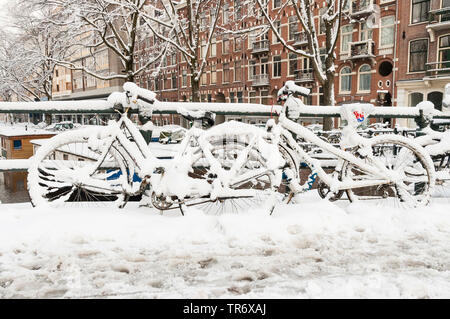 Paesaggio di coperta di neve di Amsterdam, Paesi Bassi, Noord-Holland, Amsterdam Foto Stock