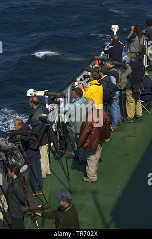 Birders sul ponte dell'orgoglio di Bilbao, Francia, nel golfo di Biscaglia Foto Stock