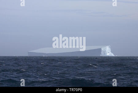 Iceberg a sud della Georgia del Sud , Suedgeorgien Foto Stock