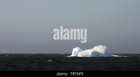 Iceberg a sud della Georgia del Sud , Suedgeorgien Foto Stock