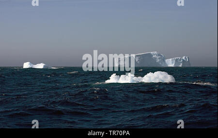 Iceberg a sud della Georgia del Sud , Suedgeorgien Foto Stock