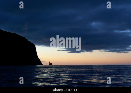 Gough Island, Suedgeorgien Foto Stock