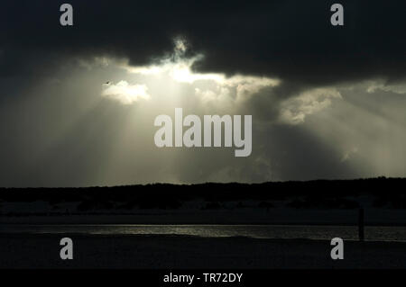 Rottura sole attraverso nel cielo nuvoloso scuro, Paesi Bassi Vlieland Foto Stock