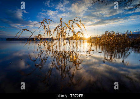 Lago di storage Talsperre Poehl al sorgere del sole in inverno, in Germania, in Sassonia, Vogtland Foto Stock