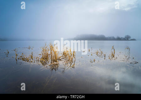 Lago di storage Talsperre Poehl nella nebbia mattutina, in Germania, in Sassonia, Vogtland, Jocketa Foto Stock