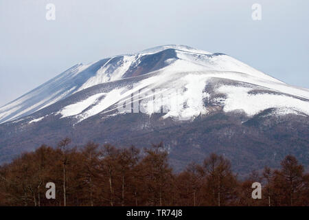 Montagna in Giappone, Giappone Foto Stock