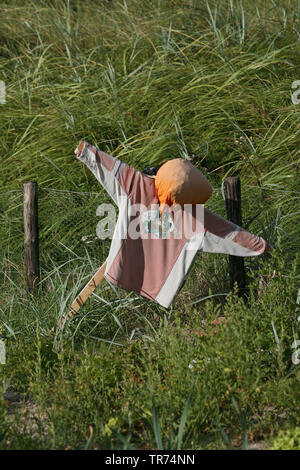 Lo Spaventapasseri nelle dune, Paesi Bassi Egmond aan Zee Foto Stock