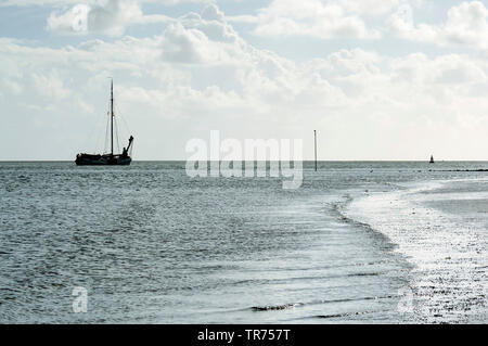 La pesca in barca crociera sul mare, Paesi Bassi Foto Stock