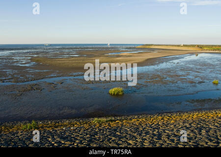 Waddensea a Den Oever con dike in primo piano, Paesi Bassi, Paesi Bassi del Nord, Den Oever Foto Stock