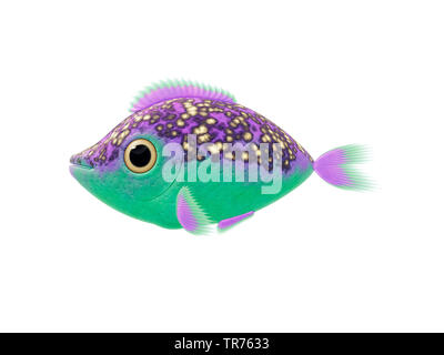 2D illustrazione cartoon di un viola pesce verde Foto Stock