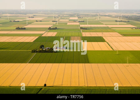 Il campo Tono di voce monotono paesaggio in North Holland, vista aerea, Paesi Bassi, Paesi Bassi del Nord Foto Stock