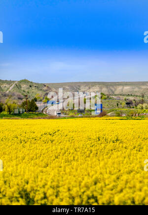 Ankara/Turkey-April 24 2019: Giallo canola field vista con il traffico su Ankara Eskisehir autostrada Foto Stock