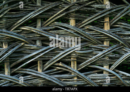 Texture di primo piano in legno antico muro malvagio Foto Stock