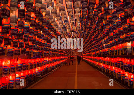 Tunnel delle lanterne durante il Festival delle Lanterne Jinju in Jinju, Corea del Sud Foto Stock