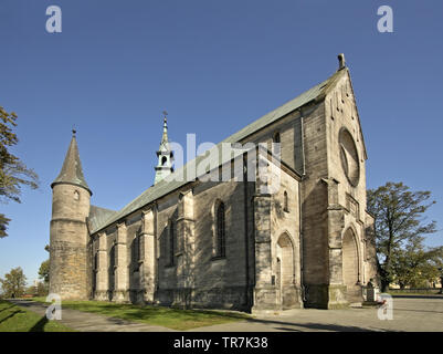 Chiesa di San Nicola in Zarnow village. Lodz voivodato. Polonia Foto Stock