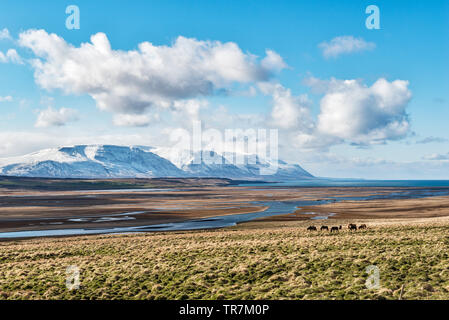 View over the beautiful countryside of Skagafjörður in north Iceland, looking towards Sauðárkrókur (early spring) Foto Stock