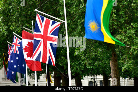 Londra, Inghilterra, Regno Unito. Bandiere del Commonwealth in Horse Guards Road pronto per il Trooping del colore; Nuova Zelanda; Australia; Canada; unione bandiera; Ruanda Foto Stock
