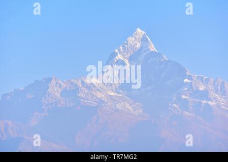 Mt. Machapuchare o coda di pesce di montagna, la montagna sacra dell'Himalaya Foto Stock