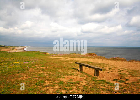 Una panca in legno sulla rupe dalla costa di Norfolk percorso in North Norfolk a Weybourne, Norfolk, Inghilterra, Regno Unito, Europa. Foto Stock