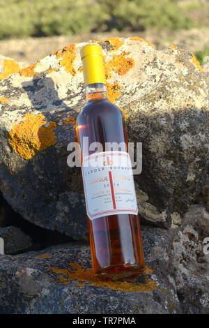 L'Italia, Sicilia, isola di Pantelleria : Una bottiglia di Sangue d'Oro, il dolce Vino Passito di Pantelleria prodotta dall'attrice francese Carole Bouquet ho Foto Stock