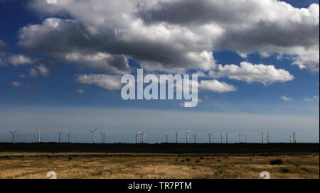 Redcar, Cleveland, Inghilterra, Gran Bretagna Foto Stock