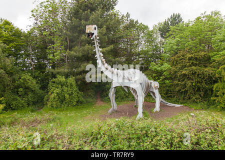 Un Brontosaurus scultura al Parco Teessaurus,Middlesbrough,l'Inghilterra,UK Foto Stock