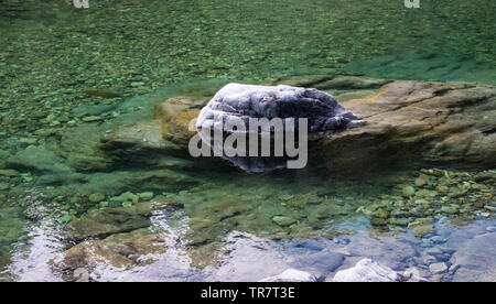 Una passeggiata attraverso la foresta al fiume Pelorus, nella regione di Marlborough di Nuova Zelanda Foto Stock