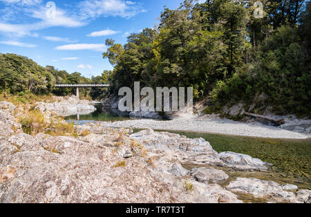 Una vista del Ponte Pelorus e la foresta a Te Joiere / Fiume Pelorus, nella regione di Marlborough di Nuova Zelanda Foto Stock